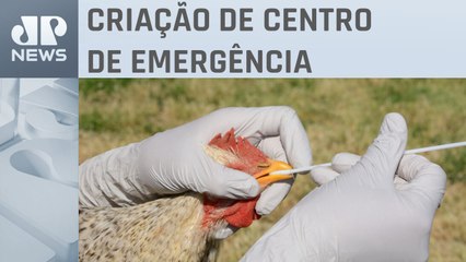 Brasil amplia nível de alerta contra gripe aviária
