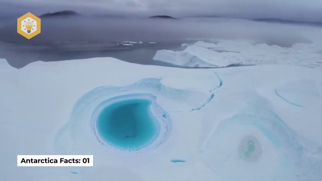 Antarctica Facts: Cool Facts on the Antarctic and South Pole