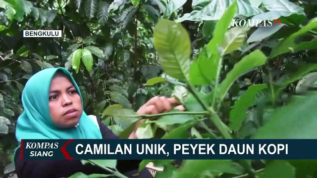 Cicip Uniknya Oleh-Oleh Khas Kabupaten Kepahiang, Peyek Daun Kopi!