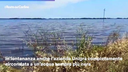 Alluvione, a Conselice ancora un mare d'acqua: il video