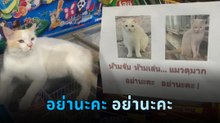 ทาสแมวเตือนแล้วนะ ร้านนี้เจ้าที่แรง แต่งานนี้ลูกค้าอยากพิสูจน์..