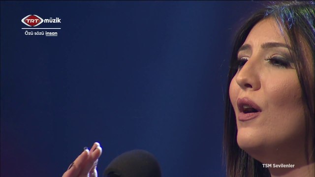 Burcu Göktürk / Akşam yine gölgen yine gölgen yine akşam