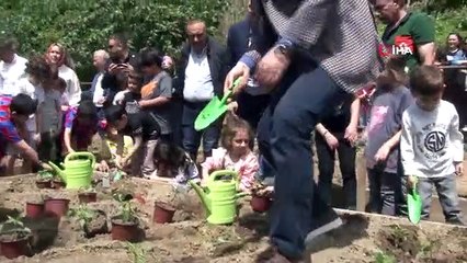 Ata tohumu fideler, Üsküdar'da toprakla buluştu
