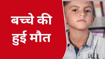 बाड़मेर: हजारों मधुमक्खियों के हमले में 8 साल के मासूम की मौत, दोनों भाई खेत में खेल रहे थे