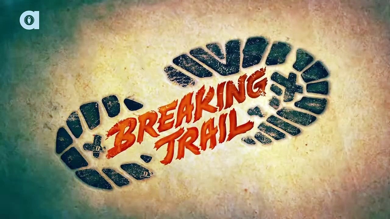 Crazy Crocodile Catch!