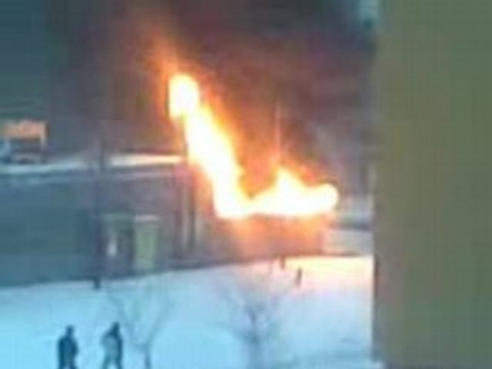 Płonie stokrotka na Porębie!