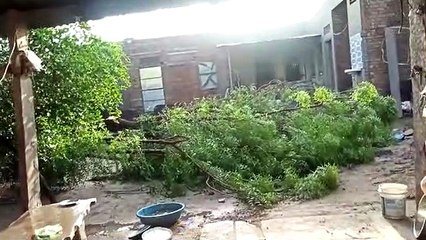 तूफान: तीन हजार उजड़ गए आशियाने