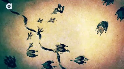 Ahhh!!! Camel Spider Chews My Finger!