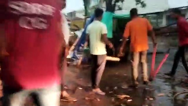नरम पड़े नौतपा के तेवर, तेज हवाओं के साथ हुई झमाझम बारिश, चलती ऑटो पर पेड़ गिरने से दब गया चालक