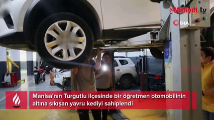 Otomobiline sıkışan yavru kediyi sahiplendi