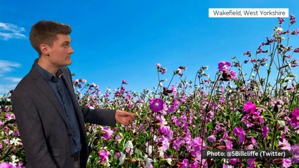 Met Office Evening Weather Forecast 27/05/23 – Pleasant Bank Holiday Weekend