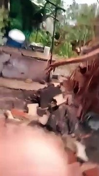 Video..... तेज हवा के साथ हुई बारिश के दौरान जगह-जगह गिरे वृक्ष