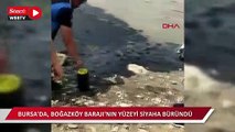 Boğazköy Barajı'nın yüzeyi siyaha büründü 