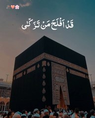 Recite Holly Quran status video