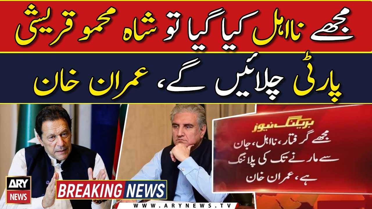 Shah Mehmood Qureshi to 'lead PTI' if Imran Khan gets disqualified