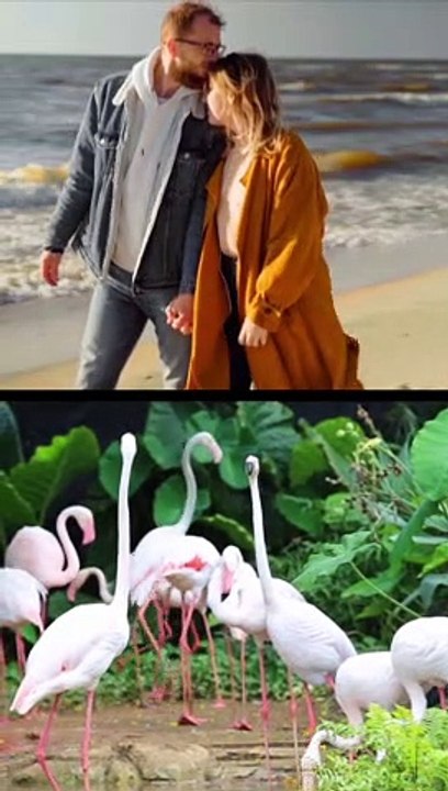 Beautiful love stories 1