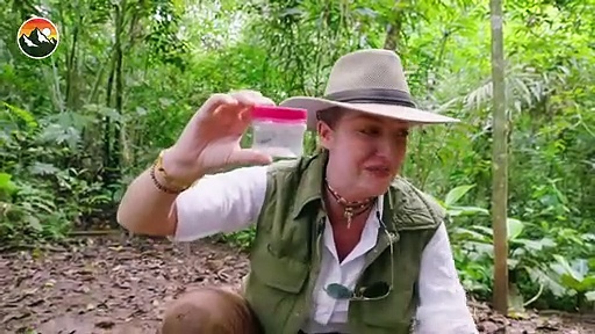 ⁣Bullet Ant Challenge - Will It Sting!