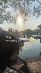 hondureña siguió a su marido y se encontró tremenda sorpresa