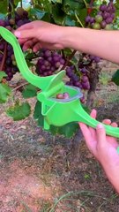 Wow nice video #video #movie #shorts #funny