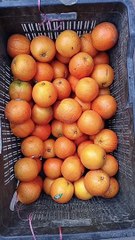 mix fruit kinnu mosambi Anar