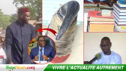 "ALAHU AKBAR Sonko na moytou déréte bi bari na loll té gnoune rekkk deukougn fi...