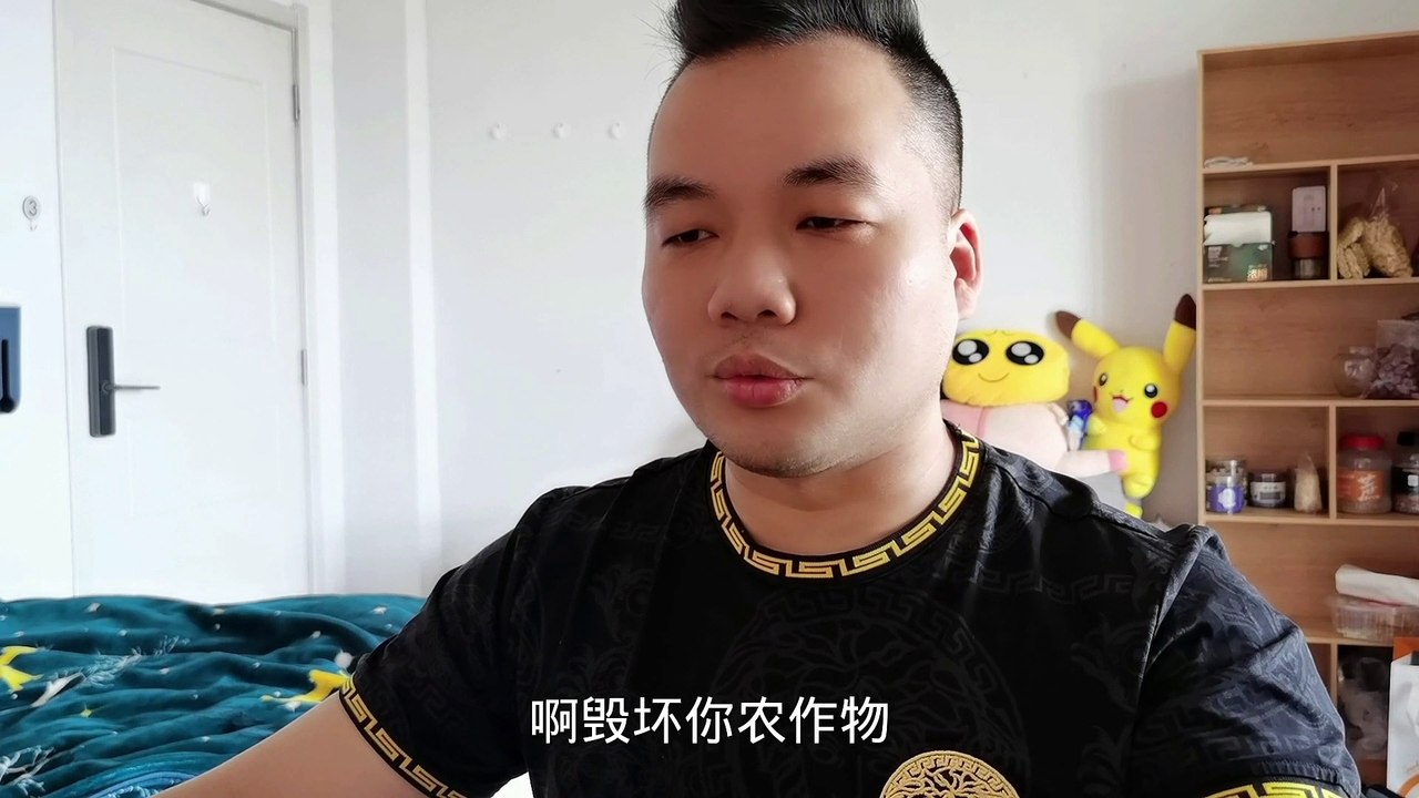 你们在干啥？