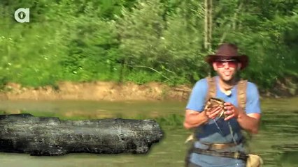 GROSS Baby Leech Burrows Into Coyote's Hand!