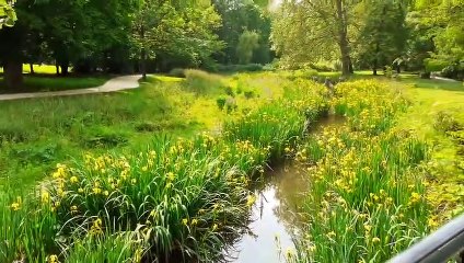 Yerres-Parc Caillebotte 2023