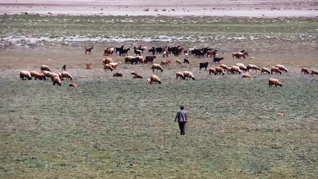 المغرب.. تراجع نسبة ملء السدود بسبب موجات الجفاف المتتالية