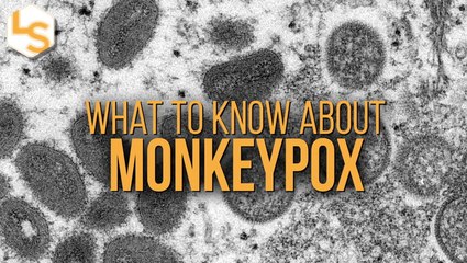 Monkeypox Overview 🐒