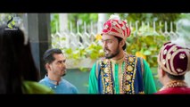 সিরাজউদ্দৌলার বংশধর _ Prank King _ Tamim Khandakar _ Saila Sathy _ Jamrul Razu _ New Natok