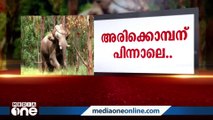 കമ്പത്ത് ഗതാഗതനിയന്ത്രണം, പുറത്തിറങ്ങരുതെന്ന് ആളുകൾക്ക് നിർദേശം; നിർണായക നിമിഷങ്ങൾ...