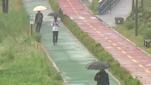 [날씨] 장대비 속 휴일...밤부터 충청 이남 강한 비 / YTN