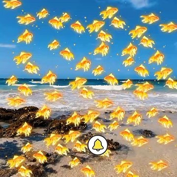 Beautiful wallpaper pics short video A.s chanal like bell on