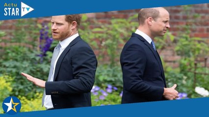 Le Prince Harry et le Prince William : ce mot à l’origine de leur conflit