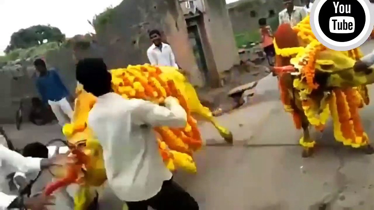 Funny video