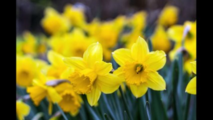 22 Years Later: The Amazing Transformation of Above Eraser Hair ✨