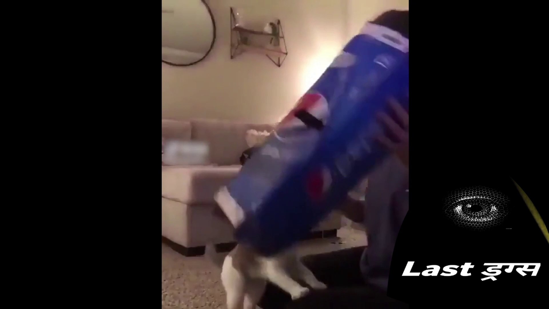 Last Drugs comedy videosotally amaizing funny video, shorts funny video, top comedy videos, fun vide