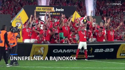 Bajnoki Ünnep: Benfica és Bayern Diadalmaskodnak 🏆