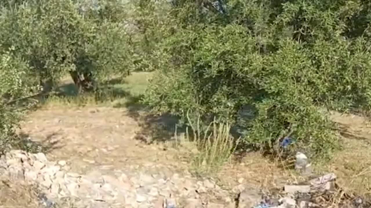 Bari, auto fuori strada a Binetto: morto 17enne, tre feriti