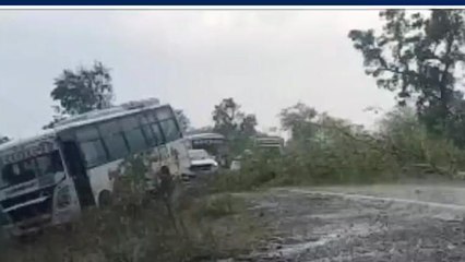 सिवनी: चलती बस के सामने सड़क में गिरा पेड़,टला बड़ा हादसा
