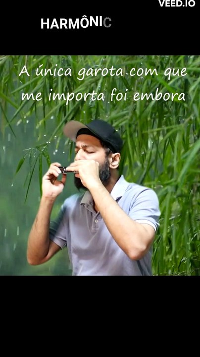 Rhythm Of The Rain - The Cascades (1963) | harmonica shorts #shortsfeed #shorts #dailymotion