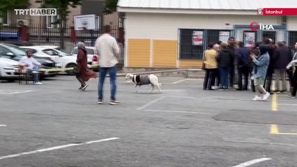 Kazak giydirdiği kuzusuyla sandık başına gitti