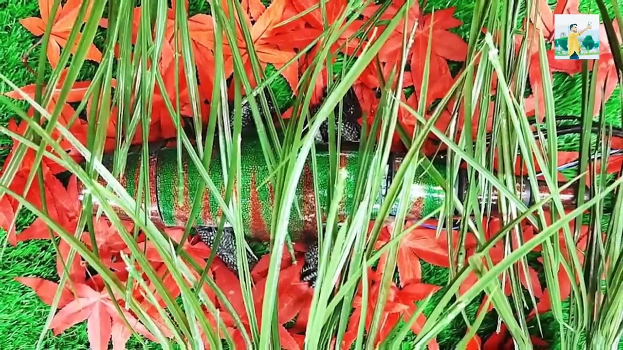 أغرب 10 حيوانات روبوت آلية تم صنعها بأيدي بشرية   لن تصدق دقه التصميم