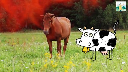 أغرب الحيوانات التي وجدت في تشيرنوبيل