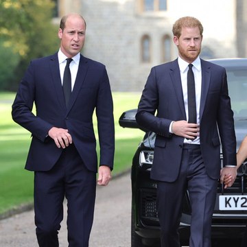 Prince Harry and Prince William held secret meeting with Princess Diana's butler