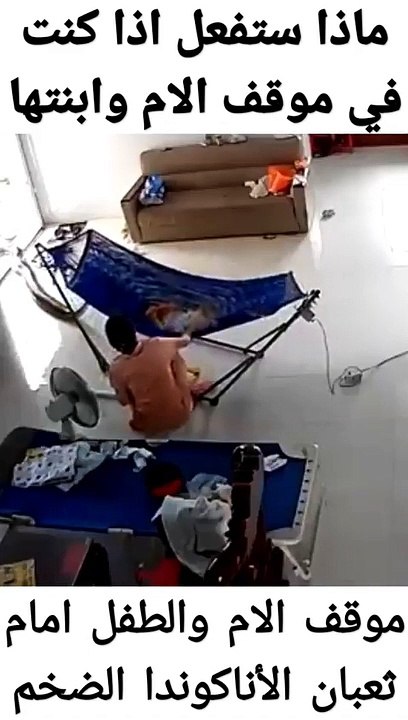 ثعبان الأناكوندا الضخم يتجول في منزل الام وطفلتها   مواقف لا يحسد عليها اما الثعابين القاتلة