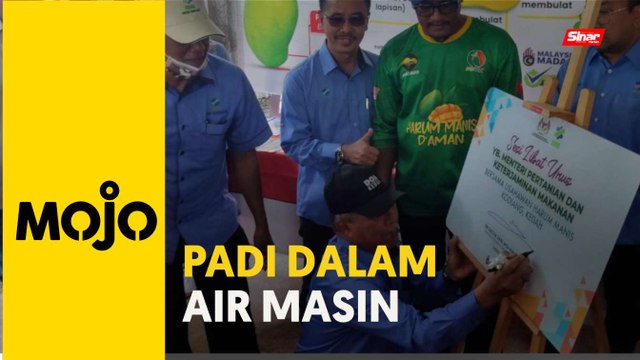 Bincang dengan China kaedah tanam padi dalam air masin