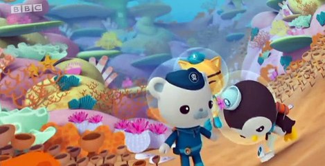 The Octonauts The Octonauts S01 E013 – The Lost Sea Star