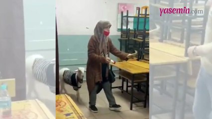 Bir vatandaş koyunuyla oy kullanmaya gitti! Kazak giyen koyunun sevimliliği kalpleri fethetti